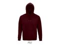 Unisex hooded sweater Bio 171