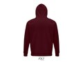 Unisex hooded sweater Bio 172