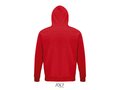 Unisex hooded sweater Bio 253