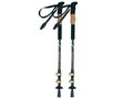 Schwarzwolf Denali trekking sticks 1