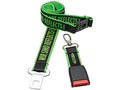 Seatbelt lanyard