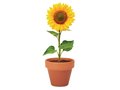 Sunflower potje 5