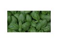 Sproutworld Potlood – Laat je ideeën uitgroeien tot iets moois 9