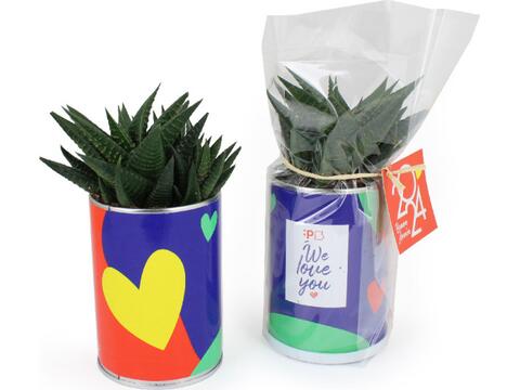 Busselpotje met plant