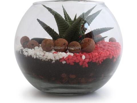 Mini-Terrarium Diy Kit