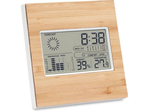 Weerstation thermometer