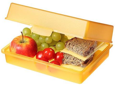 Picknickbox brooddoos 21,5 x 15,8 x 7,1 cm