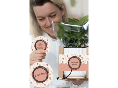 Plantje in leuke pot