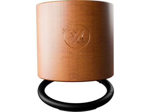 Speaker 3W voorzien van ring met hout