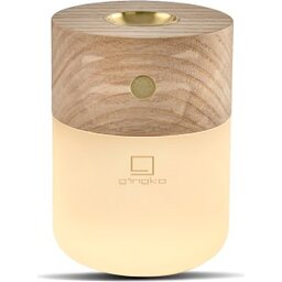 01G017AH_Gingko Smart Diffuser Lamp_01