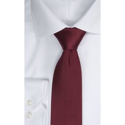 2910000_300_TIE_PLAIN_300_WINE