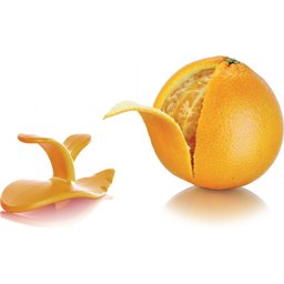 48892606 Fruit Set sinaasappel