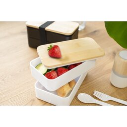 966040_foto-7-pp-dubbele-laag-lunchbox-maxton-hi-resolution