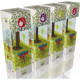 Baby Tree new packaging 