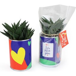 Blusselpotje met plant bedrukken