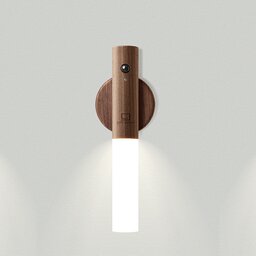 G016WT  Gingko Smart Baton Light21