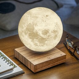 G019WT Gingko Smart Moon Lamp14