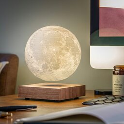 G019WT Gingko Smart Moon Lamp16