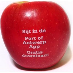 Logo appelen Antwerpen