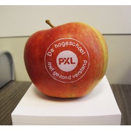 Logo appelen gezond school bedrukken