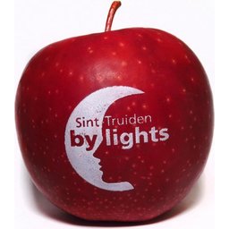 Logo appelen Sint Truiden