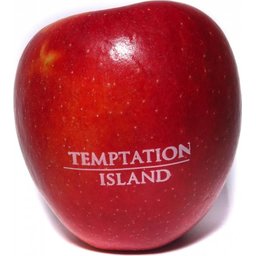 Logo appelen Temptation