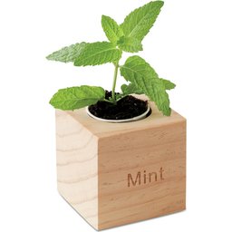 Menta kweekset bedrukken
