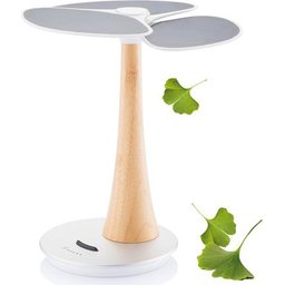 ginkgo-solar-boom-4ee4.jpg