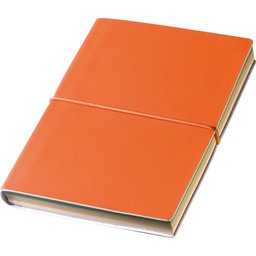 notitieboekje-met-gekleurde-paginas-c25b.jpg