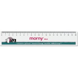 ruler-20-cm-544c.jpg