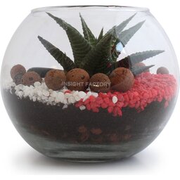Mini-Terrarium Diy Kits