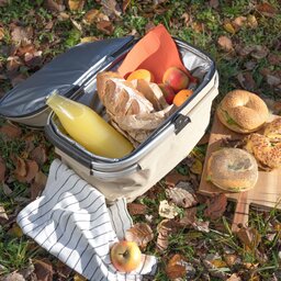 Picknickmand Livoo
