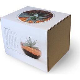 PL26_0047-bd