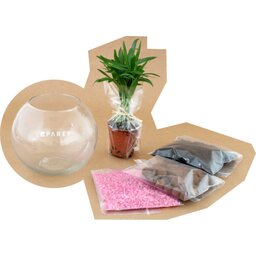 PL26B_0482-BD