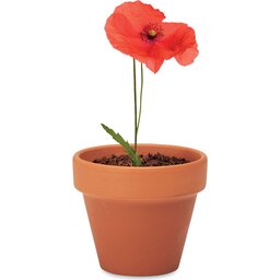 Red Poppy-bloempot