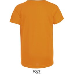s01166-no-back