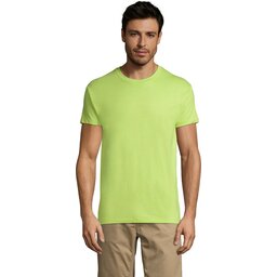 s11380-ag