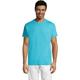 s11380-al