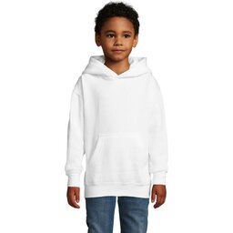 s13255-wh