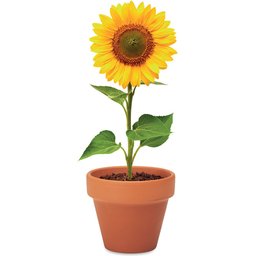 Sunflower- voorbeeld